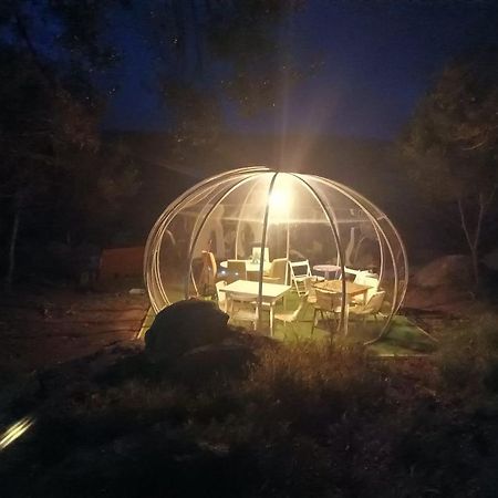 Гостевой дом Eucaliptus Farm Retreat Санта-Тереза-Галлура Экстерьер фото