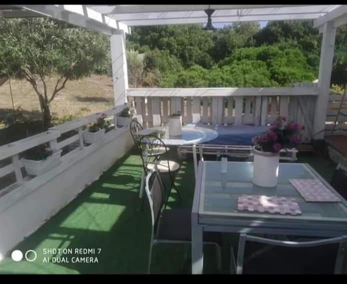 Гостевой дом Eucaliptus Farm Retreat Санта-Тереза-Галлура Экстерьер фото
