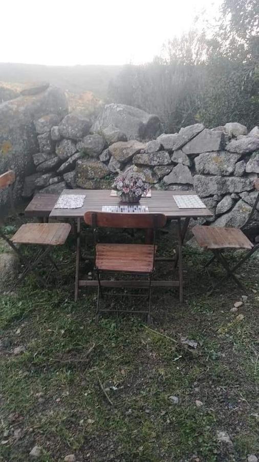 Гостевой дом Eucaliptus Farm Retreat Санта-Тереза-Галлура Экстерьер фото