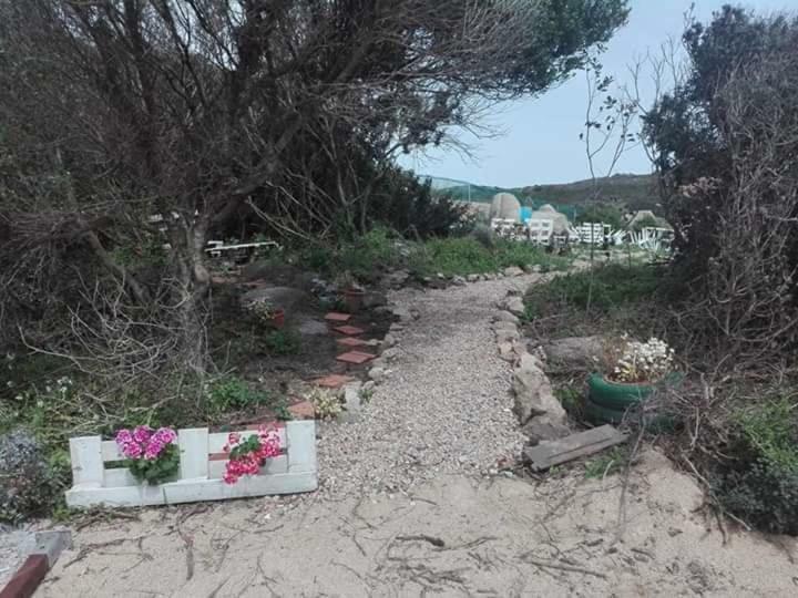 Гостевой дом Eucaliptus Farm Retreat Санта-Тереза-Галлура Экстерьер фото