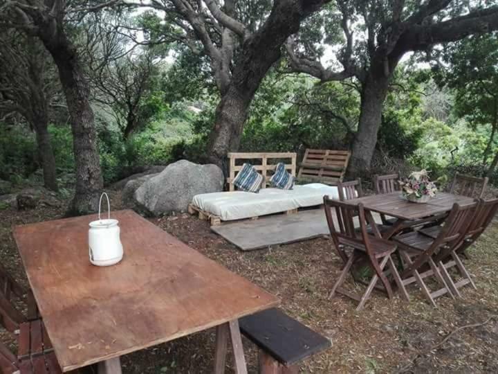 Гостевой дом Eucaliptus Farm Retreat Санта-Тереза-Галлура Экстерьер фото
